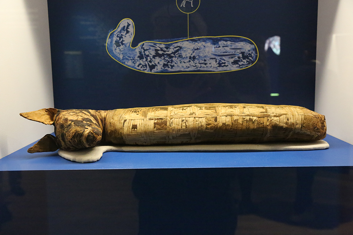 Archeologia invisibile_088.jpg
